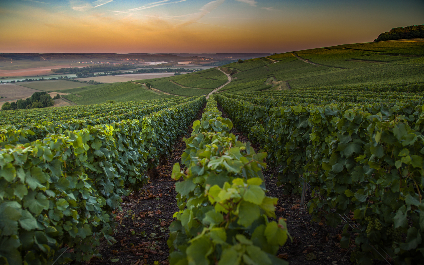 Expertise comptable bar sur seine